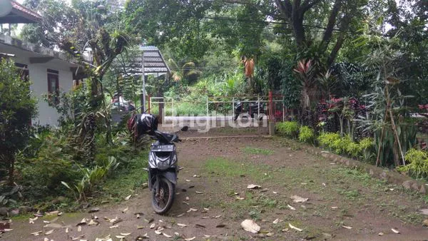image TANAH PRODUKTIF DI CIJERUK KAB BOGOR (8)