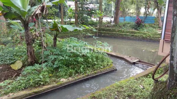 image TANAH PRODUKTIF DI CIJERUK KAB BOGOR (6)