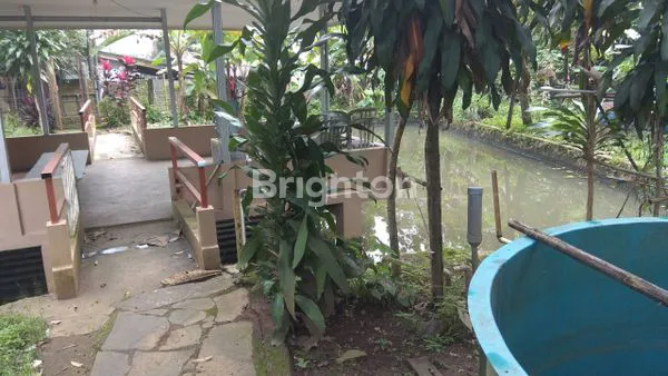 image TANAH PRODUKTIF DI CIJERUK KAB BOGOR (5)