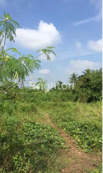 image TANAH STATEGIS DEPAN KANTOR PU - JL. KELAPA GADING , SAMARINDA (1)