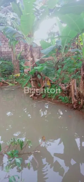 image TANAH KOLAM IKAN MURAH MERIAH PALASARI CIJERUK BOGOR (2)