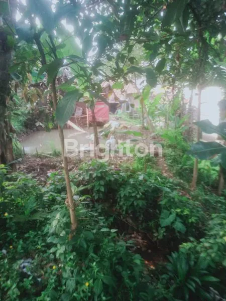 image TANAH KOLAM IKAN MURAH MERIAH PALASARI CIJERUK BOGOR (3)