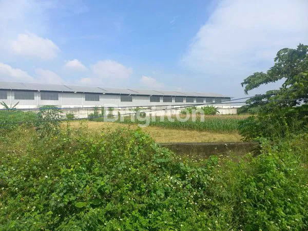 image TANAH UNTUK PABRIK / GUDANG STRATEGIS DEKAT TOL KRAPYAK & KALIWUNGU (1)