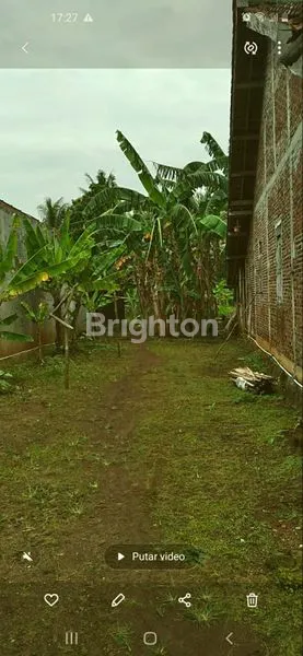 image TANAH + RUMAH DI JUAL BUTUH UANG (2)