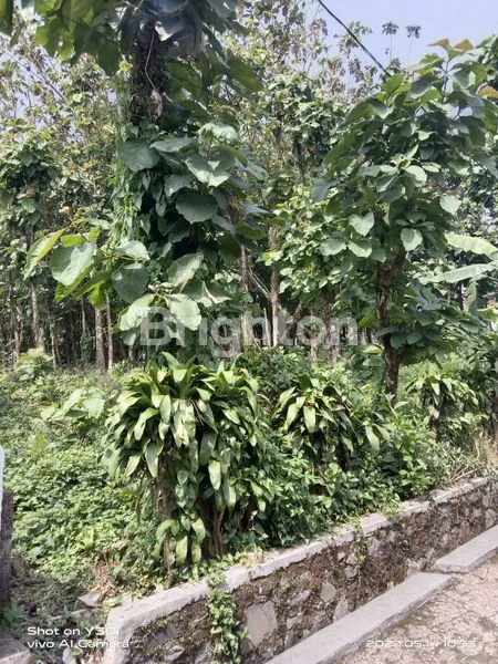 image TANAH COCOK BUAT USAHA DI BOGOR (2)