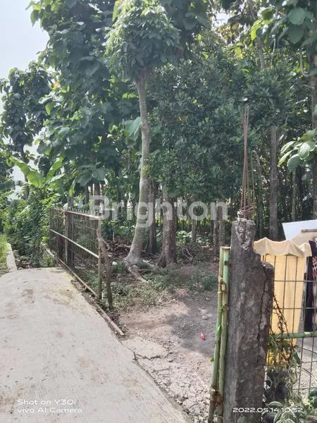 image TANAH COCOK BUAT USAHA DI BOGOR (4)