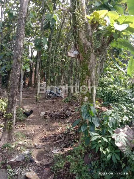 image TANAH COCOK BUAT USAHA DI BOGOR (7)