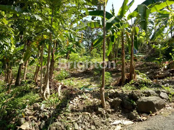 image TANAH AREAL KAMPUS UNDIP DAN UNNES SANGAT SETRATEGIS UNTUK USAHA KOST DAN TEMPAT TINGGAL (3)