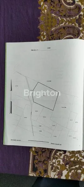 image TANAH AREA TAJINAN COCOK UNTUK INVESTASI  (3)