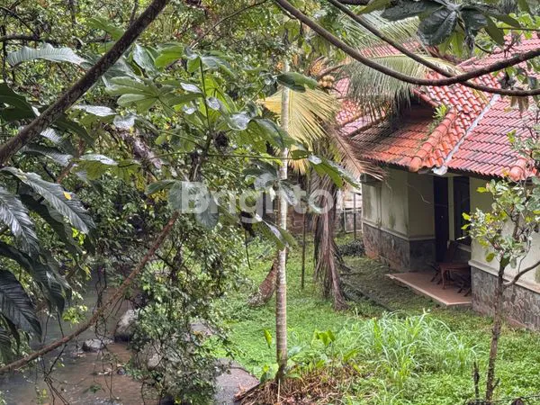 image VILLA EKSKLUSIF 1,7 HEKTAR – 10 MENIT DARI TOL BOGOR | FULL FURNISHED + BONUS KENDARAAN (4)