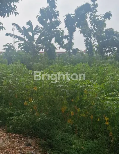 image TANAH LUAS 1,2 HEKTAR LOKASINYA STRATEGIS (6)