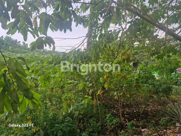 image TANAH LUAS 1,2 HEKTAR LOKASINYA STRATEGIS (7)