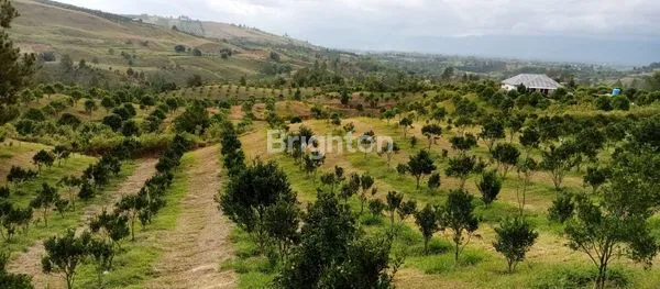 image TANAH 19HA NAGARA MEREK KARO (3)