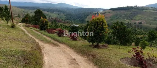 image TANAH 19HA NAGARA MEREK KARO (6)