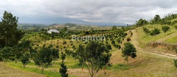 image TANAH 19HA NAGARA MEREK KARO (4)