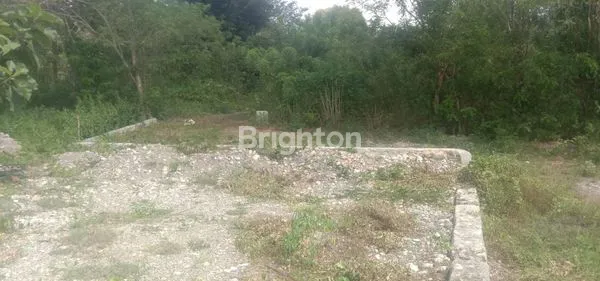 image  TANAH STRATEGIS DI KEFA MENANO – NTT  (1)