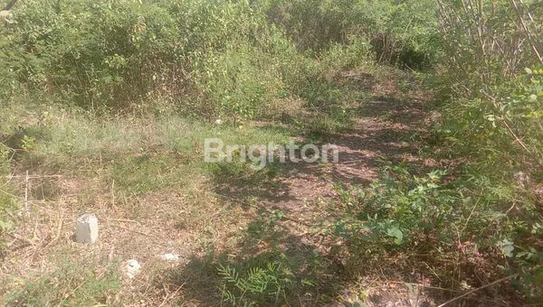 image  TANAH STRATEGIS DI KEFA MENANO – NTT  (5)