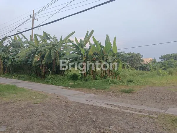 image TANAH 0 JALAN RAYA JUANDA, SIDOARJO (1)