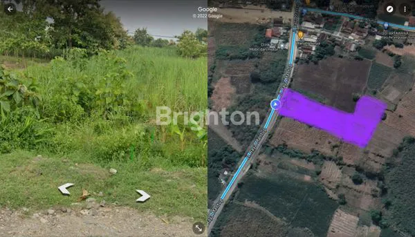 TANAH AREA KEDUNGSARI LAMONGAN