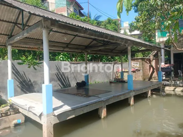 image RUMAH KOMPLIT DENGAN EMPANG IKAN , KANDANG AYAM. DAN.KEBUN DI SAMPING TAMAN.YASMIN BOGOR (3)