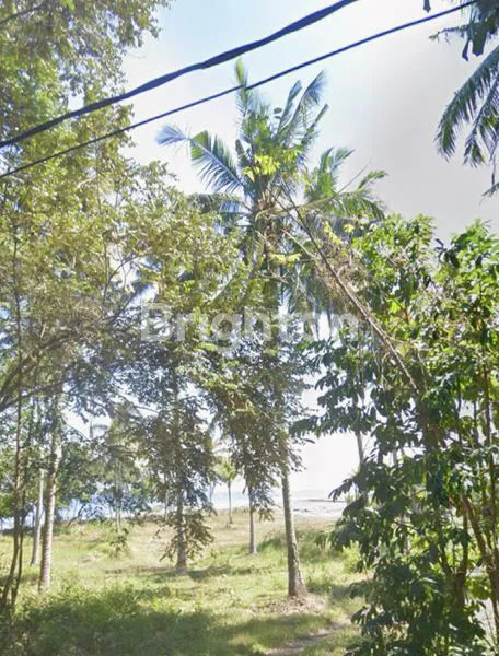 TANAH BEACHFRONT & SEA VIEW  43,2 ARE DI KARANG IMPIAN BEACH, MELAYA, JEMBRANA BALI