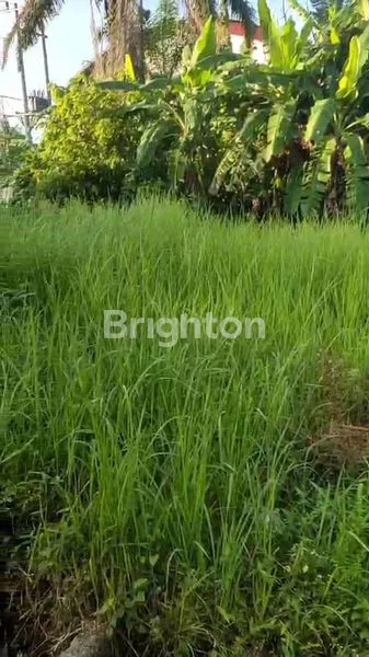 image TANAH LUAS DAN DATAR DAERAH BINJAI TIMUR (4)