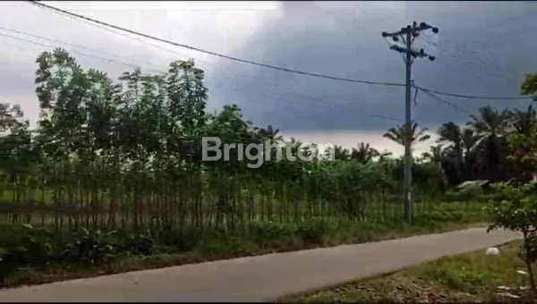 image TANAH AMAT LUAS BUAT KOMPLEK TG.MORAWA (8)