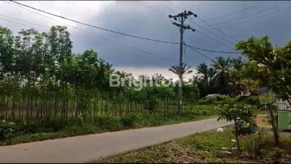 image TANAH AMAT LUAS BUAT KOMPLEK TG.MORAWA (4)