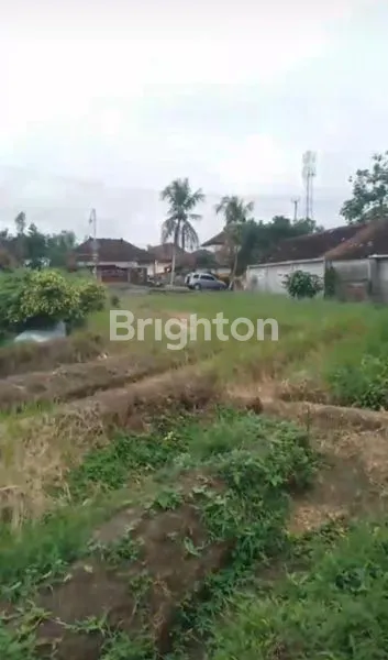 image TANAH,DENGAN UKURAN 1,3 ARE DEKAT TERMINAL PESIAPAN (4)