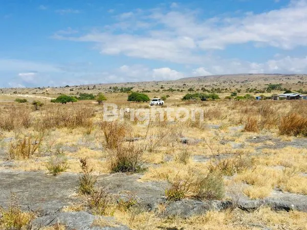 image LAHAN PANTAI CANTIK HAMBPRAING BEACH  (3)