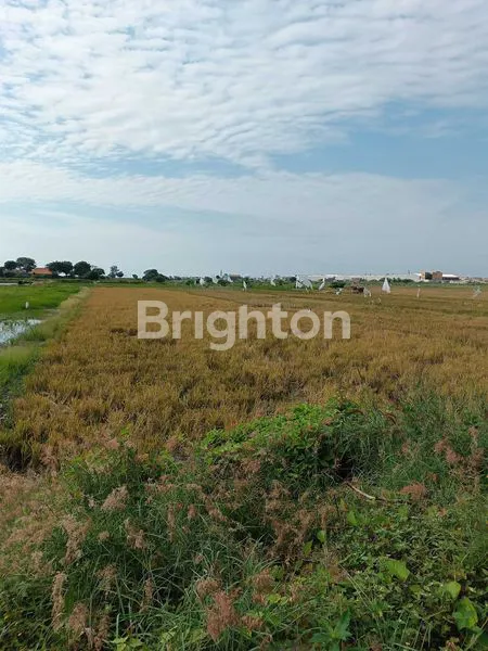 image TANAH KEDUNG COWEK (3)