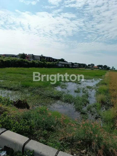 image TANAH KEDUNG COWEK (1)