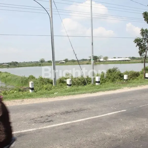 TAMBAK AKTIF +- 8,1 HA 0 JALAN RAYA DAENDLES SIDAYU