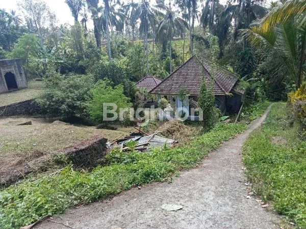 TANAH DAN BANGUNAN ASRI, DESA DALANG