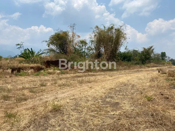 image TANAH LUAS DI PRIGEN INVESTASI MASA DEPAN (2)