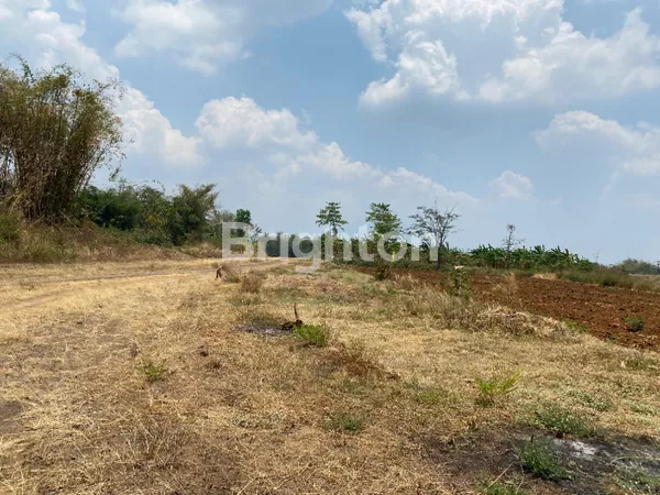 image TANAH LUAS DI PRIGEN INVESTASI MASA DEPAN (4)