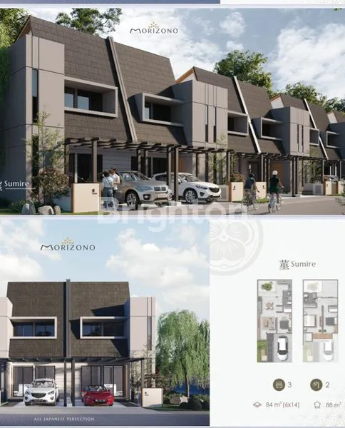 image HUNIAN MORIZONO TYPE AYAME (1)