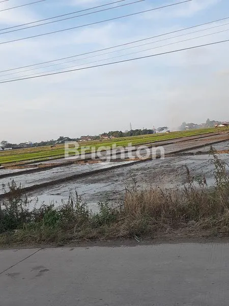 TANAH CUKUP LUAS BISA BUAT PABRIK DI PEMALANG