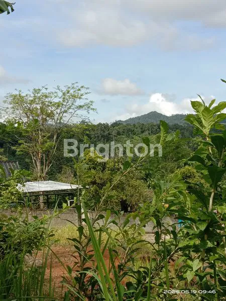 image  KEBUN COCOK BUAT VIILLA BATU PUTU BANDAR LAMPUNG  (1)