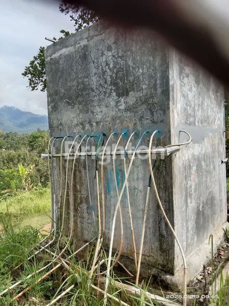 image  KEBUN COCOK BUAT VIILLA BATU PUTU BANDAR LAMPUNG  (3)