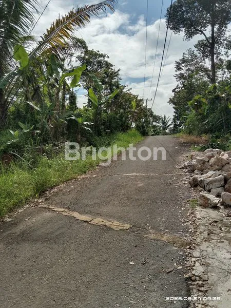 image  KEBUN COCOK BUAT VIILLA BATU PUTU BANDAR LAMPUNG  (8)