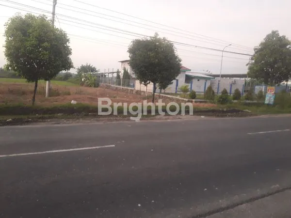 TANAH STRATEGIS SIAP BANGUN PINGGIR JALAN RAYA SEMARANG PURWODADI