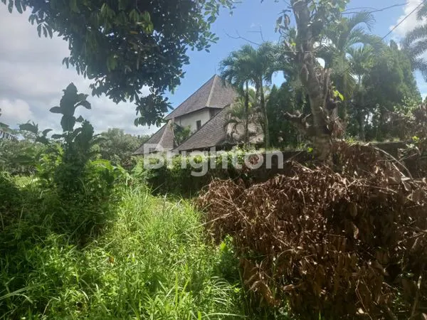 image TANAH LANGKA DI PEJENG KELOD – GIANYAR, BALI (7)