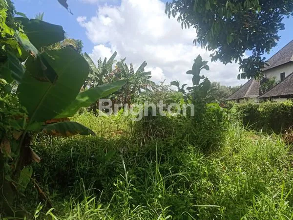 image TANAH LANGKA DI PEJENG KELOD – GIANYAR, BALI (4)