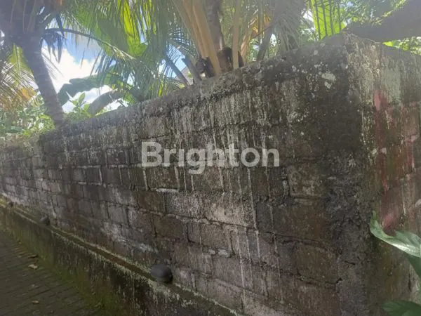 image TANAH LANGKA DI PEJENG KELOD – GIANYAR, BALI (8)
