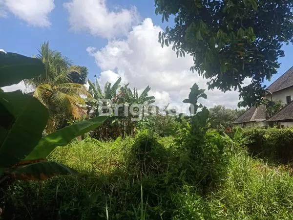 image TANAH LANGKA DI PEJENG KELOD – GIANYAR, BALI (3)