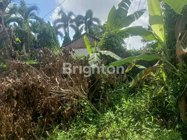 image TANAH LANGKA DI PEJENG KELOD – GIANYAR, BALI (6)