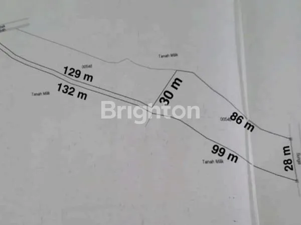 image DIJUAL TANAH SHM 27 ARE PERUNTUKAN VILLA JARAK 5 MENIT DARI PANTAI DI SELEMADEG TABANAN (5)