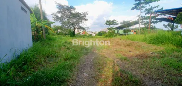 image TANAH DATAR PINGGIR JALAN RAYA  (1)