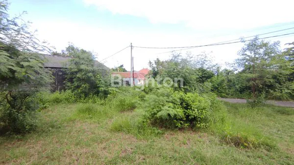 image TANAH PREMIUM KAWASAN KUTUH JIMBARAN (3)